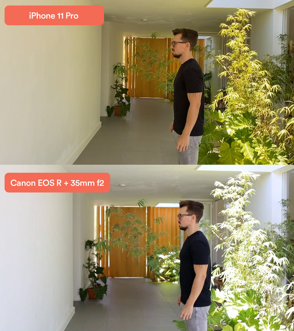 iphone vs canon camera for live streaming