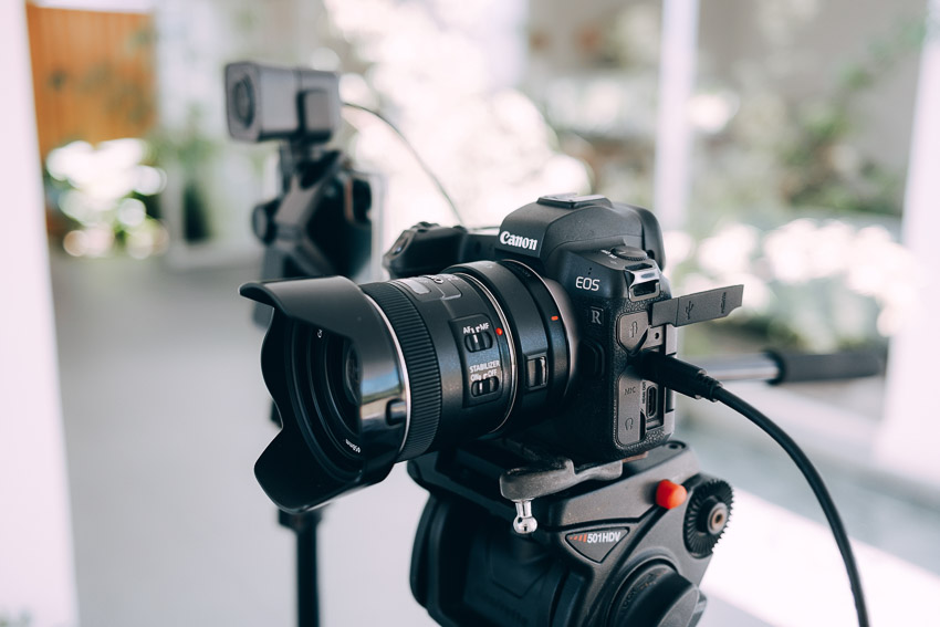canon camera ready to live stream